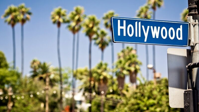 Die Vor- und Nachteile der Hollywood-Diät