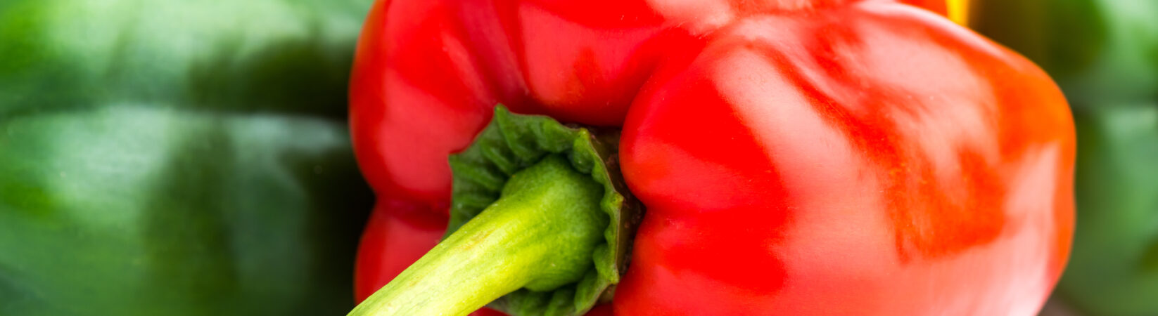 Die Paprika – Doppelt so viel Vitamin C, wie die Zitrone