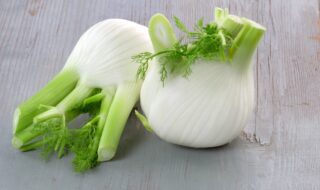 Fenchel – Zu welchen Speisen passt er am Besten?