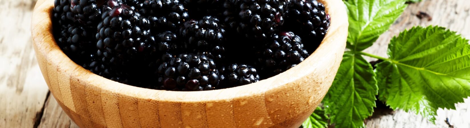 Brombeeren – Schmerzlindernd, Entzündungshemmend und Antibakteriell