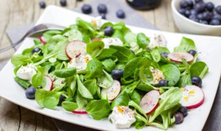 Feldsalat mit Blaubeeren und veganem Mozzarella