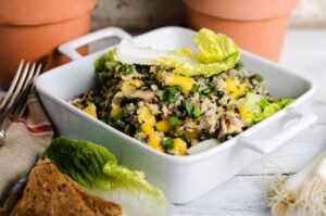 Geflügelsalat mit Mango und Wildreis